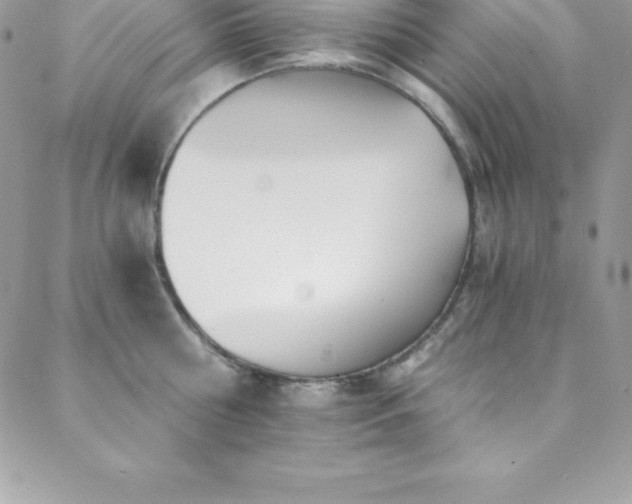 X0000088840810200706071418