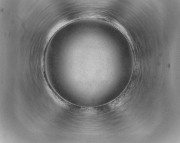 X0000088840811200706071418