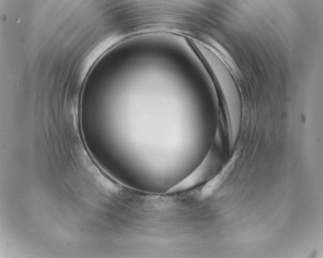 X0000088840812200706071418