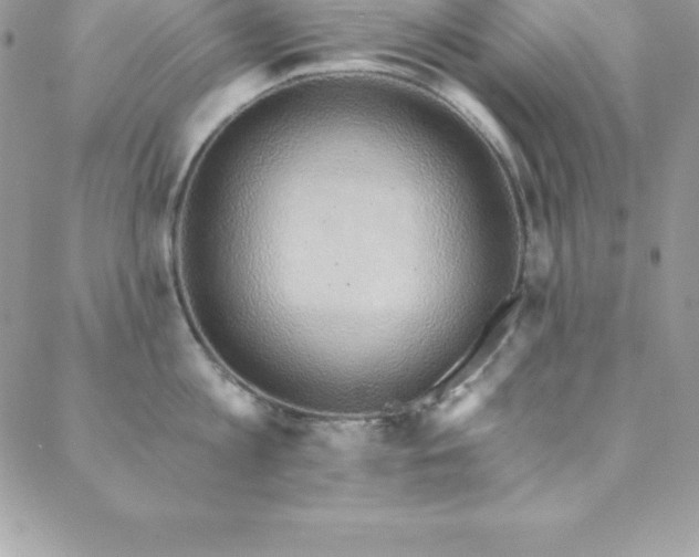 X0000088840813200706071418