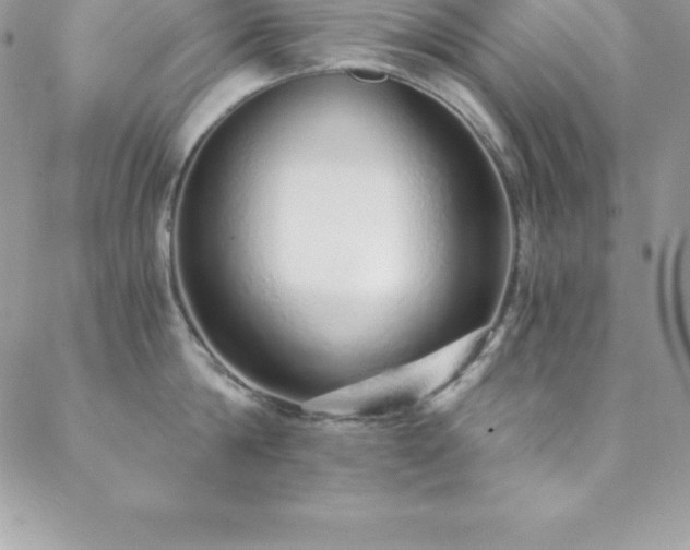 X0000088840814200706071418