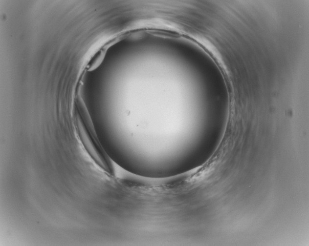 X0000088840815200706071418