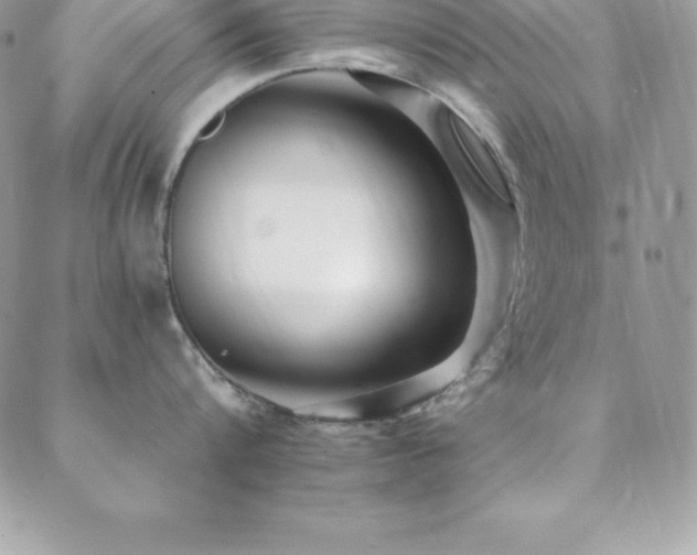 X0000088840816200706071418