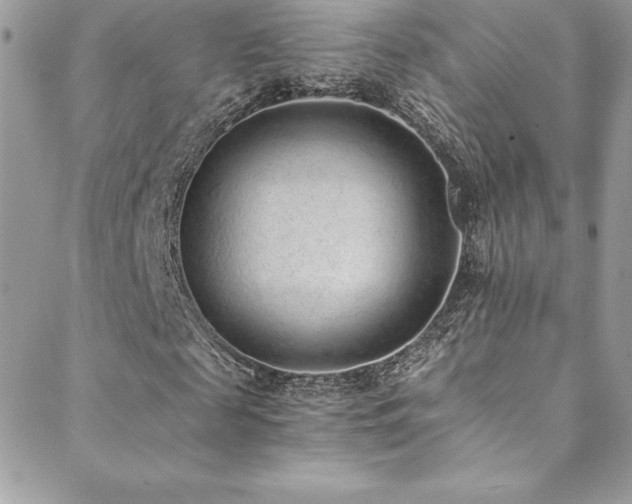 X0000088840817200706071418