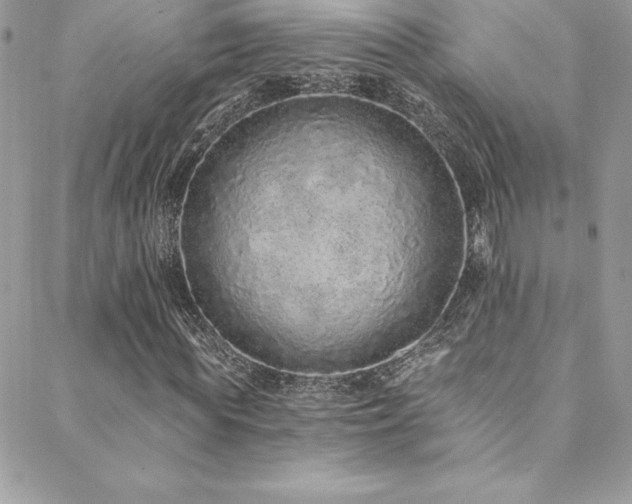 X0000088840819200706071418