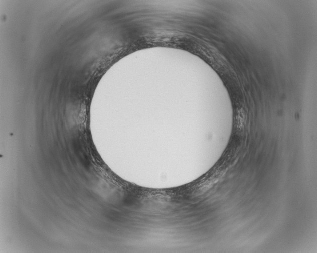 X0000088840820200706071418