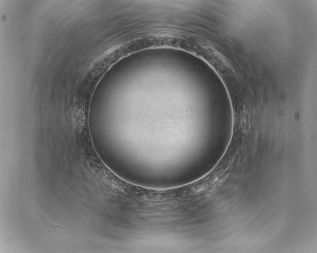 X0000088840821200706071418