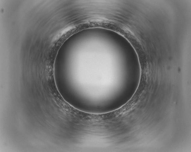 X0000088840822200706071418