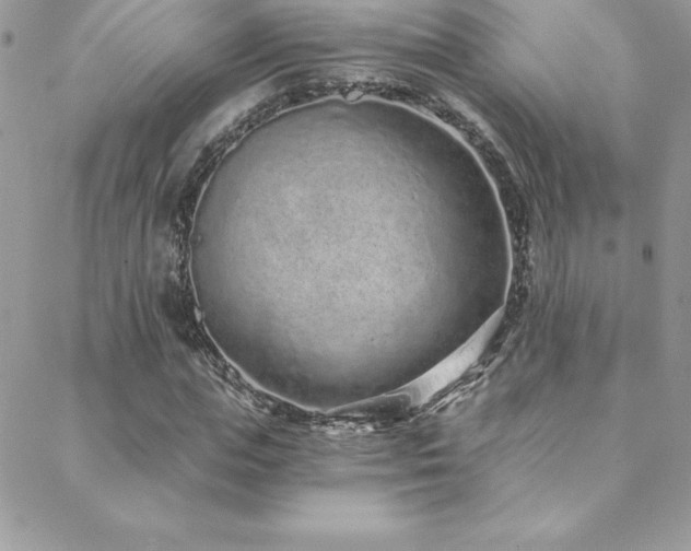 X0000088840823200706071418