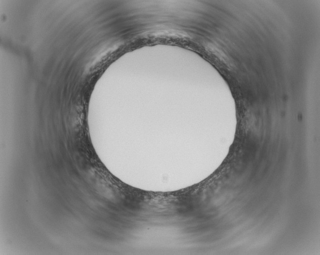 X0000088840824200706071418