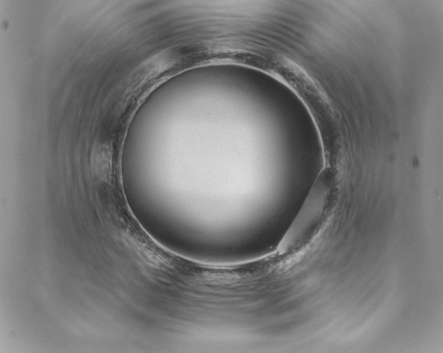 X0000088840825200706071418