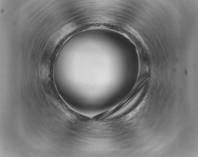 X0000088840826200706071418