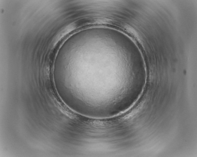 X0000088840827200706071418