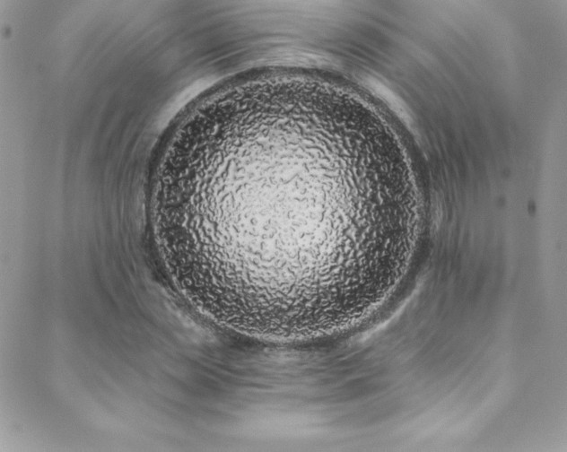 X0000088840829200706071418