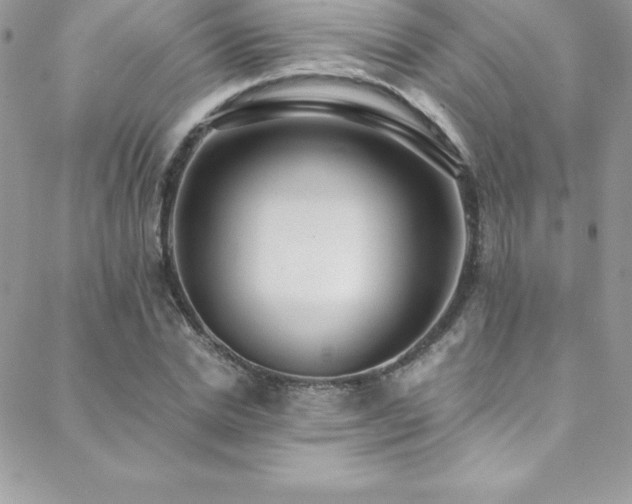 X0000088840830200706071418