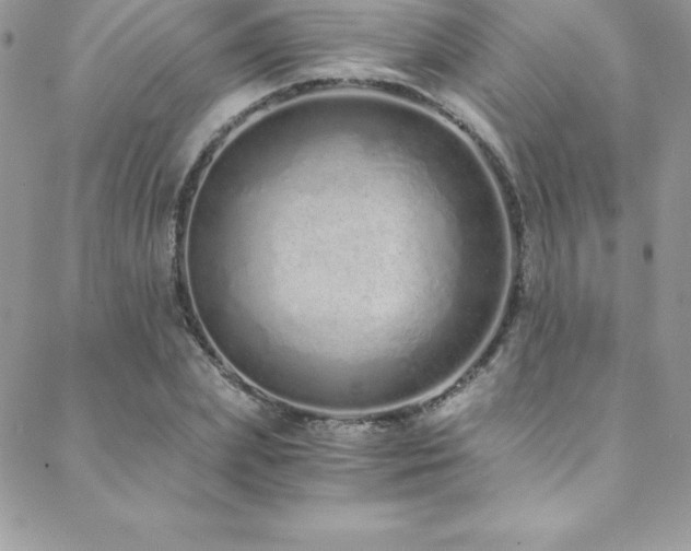 X0000088840831200706071418