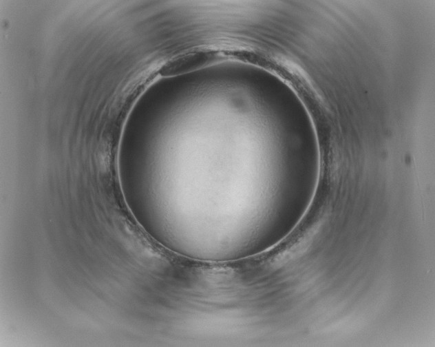 X0000088840833200706071418