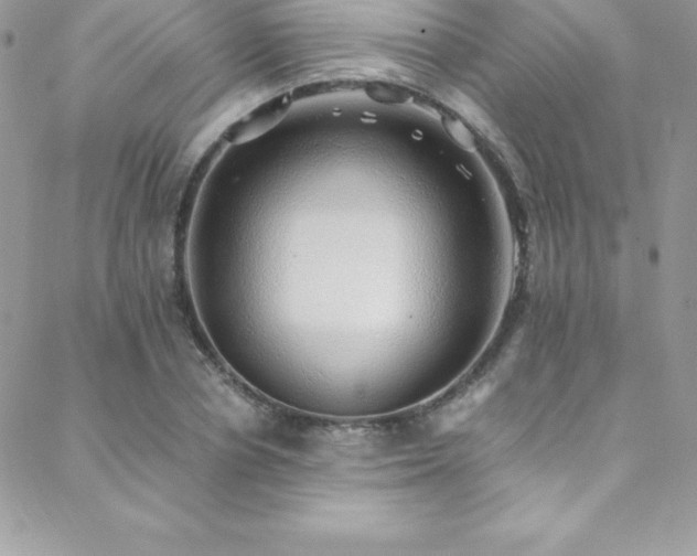 X0000088840834200706071418