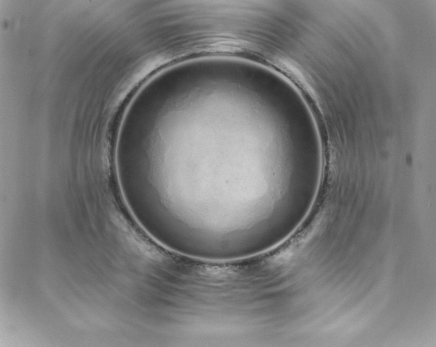 X0000088840835200706071418