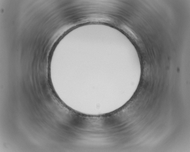 X0000088840836200706071418