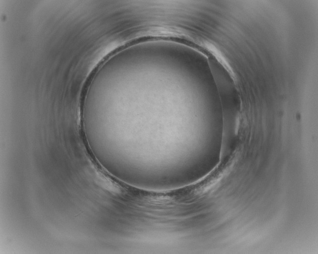 X0000088840837200706071418