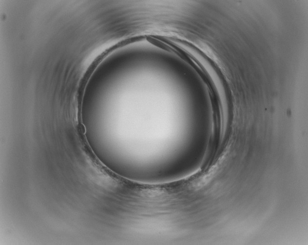 X0000088840838200706071418