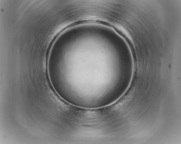 X0000088840839200706071418