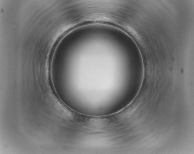 X0000088840840200706071418