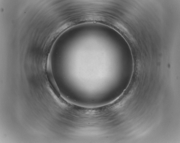 X0000088840841200706071418