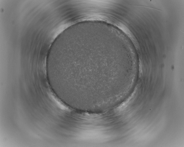 X0000088840842200706071418