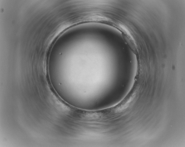 X0000088840843200706071418