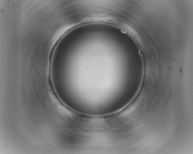 X0000088840844200706071418