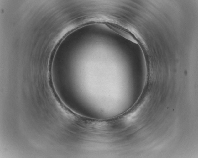 X0000088840845200706071418