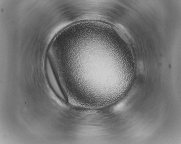 X0000088840846200706071418