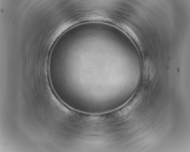 X0000088840847200706071418