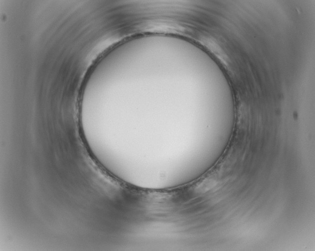 X0000088840848200706071418