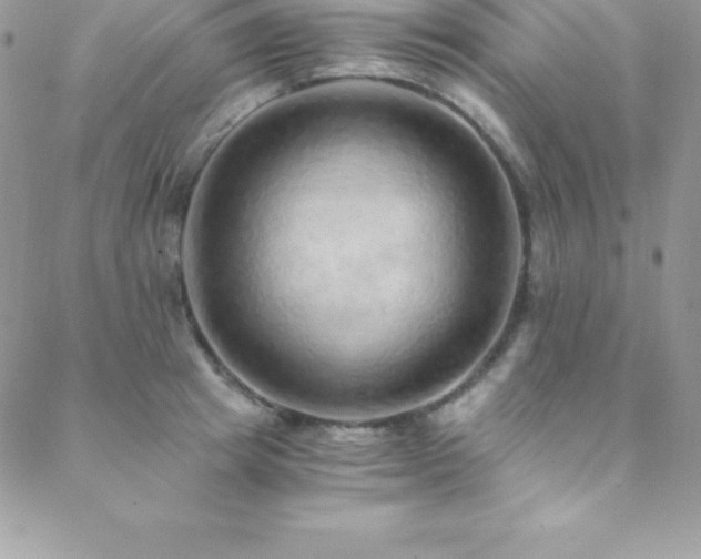 X0000088840849200706071418