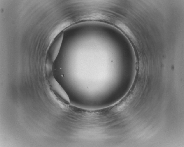 X0000088840850200706071418