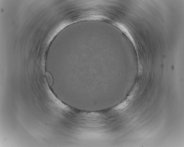 X0000088840851200706071418