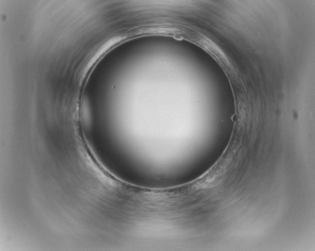 X0000088840852200706071418