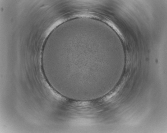 X0000088840853200706071418