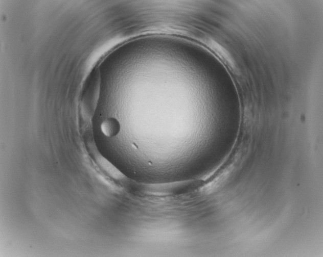 X0000088840854200706071418