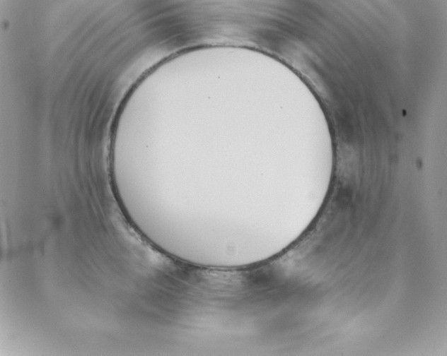 X0000088840856200706071418