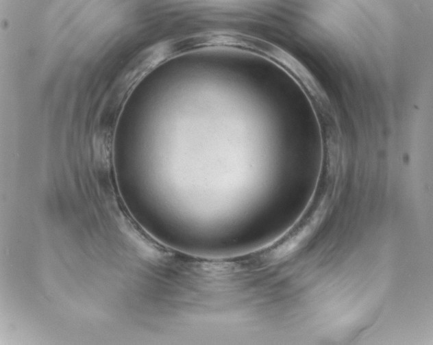 X0000088840857200706071418