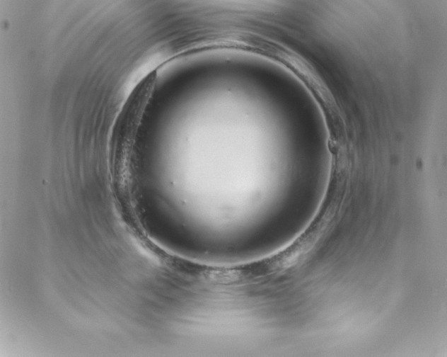 X0000088840858200706071418