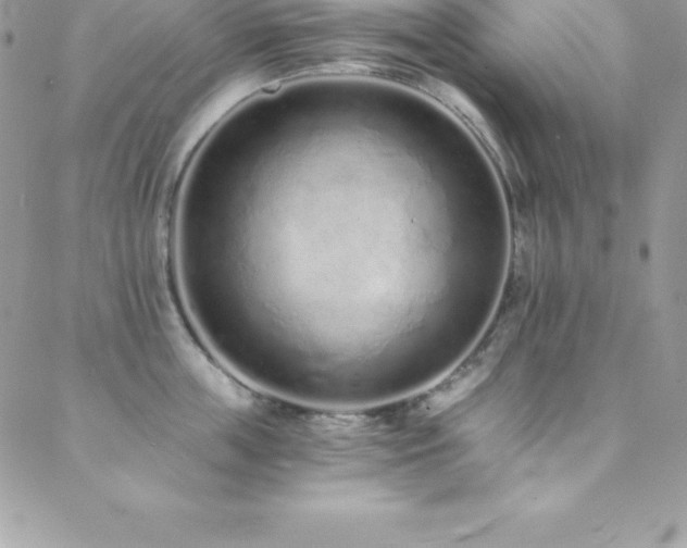 X0000088840859200706071418