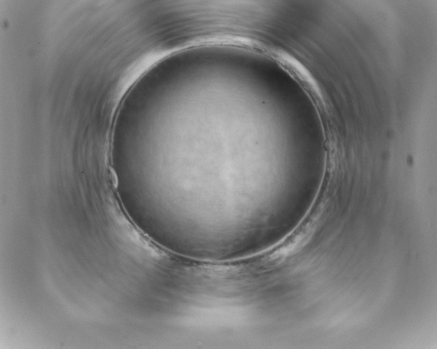 X0000088840860200706071418