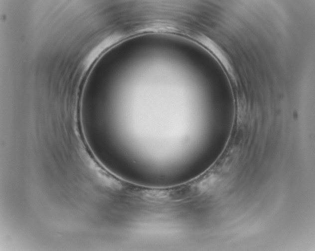 X0000088840861200706071418