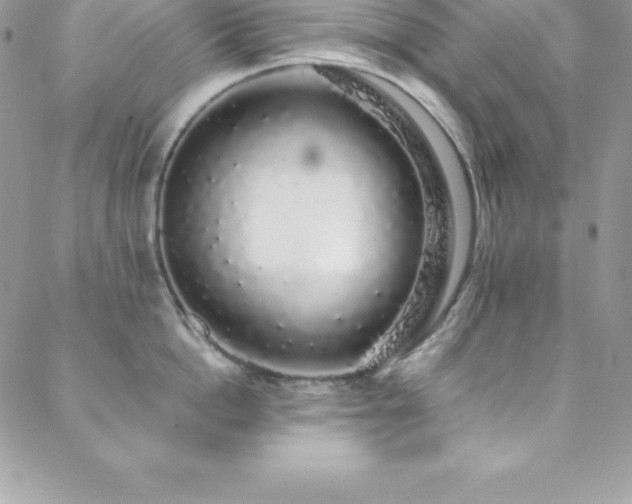 X0000088840862200706071418