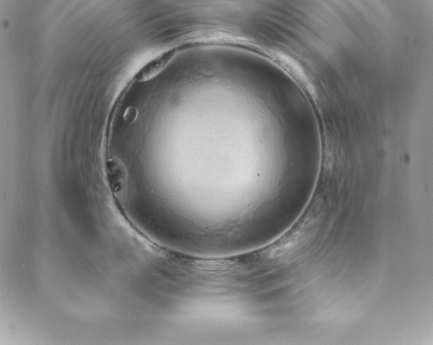 X0000088840863200706071418